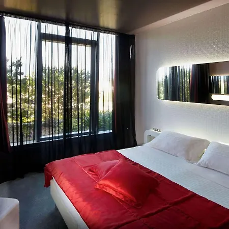Hotel San Ranieri 4*